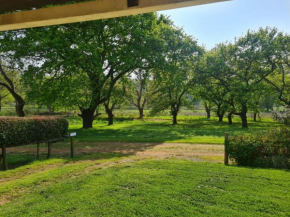 Oak Lane Cottages